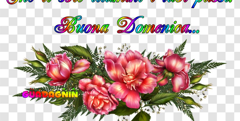 Flower Animaatio Garden Roses Color GIF - Bouquet - Famosi Frasi Libri Transparent PNG