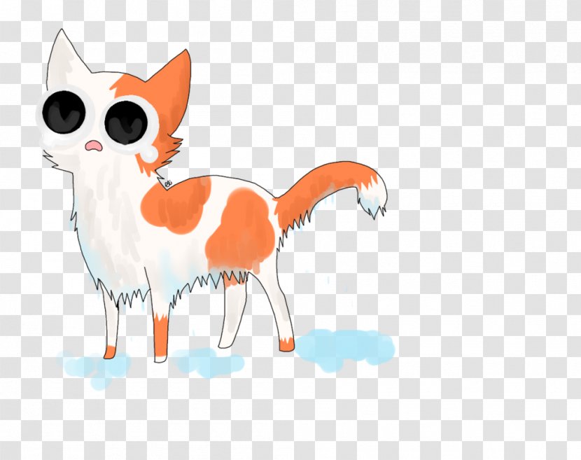 Whiskers Cat Dog Illustration Canidae - Organism Transparent PNG