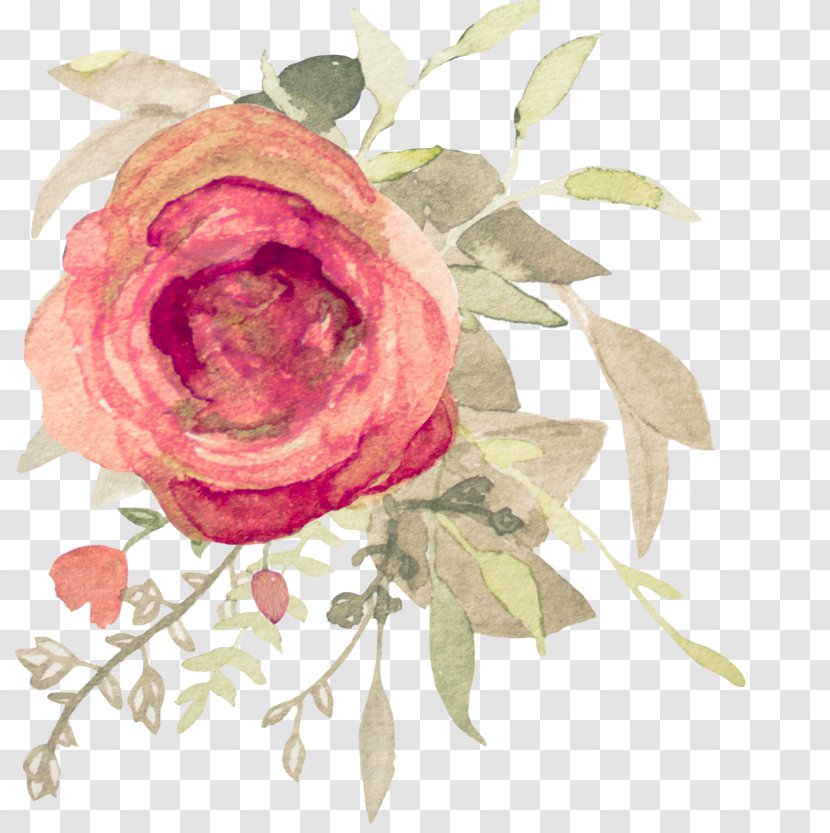 Garden Roses Flower Watercolor Painting Floral Design - Still Life Photography - Sky Transparent PNG