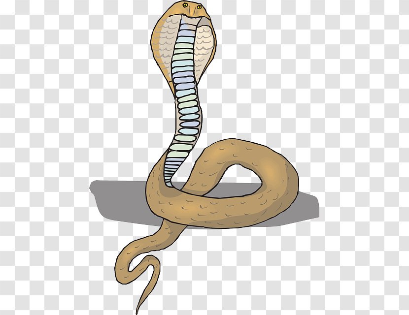 Rattlesnake King Cobra Clip Art - Kingsnakes - Snake Transparent PNG