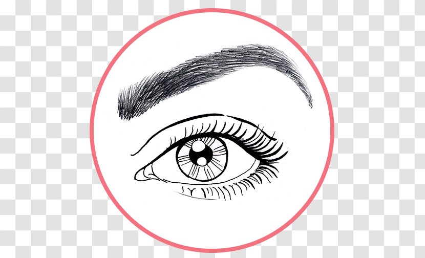 Eyelash Extensions Eyebrow Line Art Forehead Sketch - Watercolor - Eye Transparent PNG