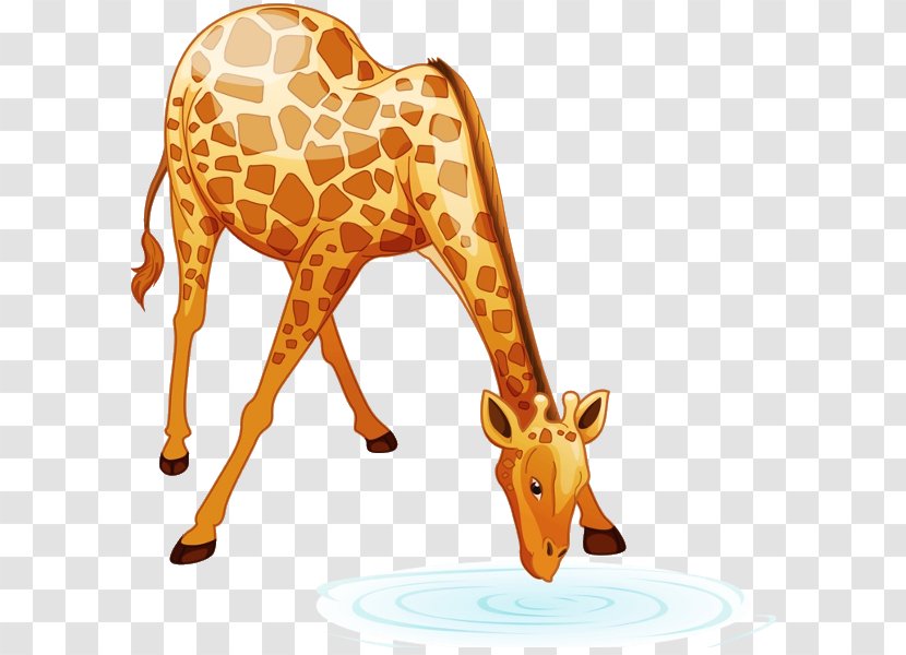 Baby Giraffes Clip Art - Fauna - Giraffe Transparent PNG