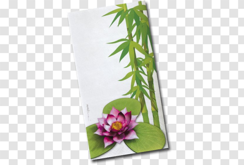 Floral Design Flowerpot Leaf Flowering Plant - Flora Transparent PNG
