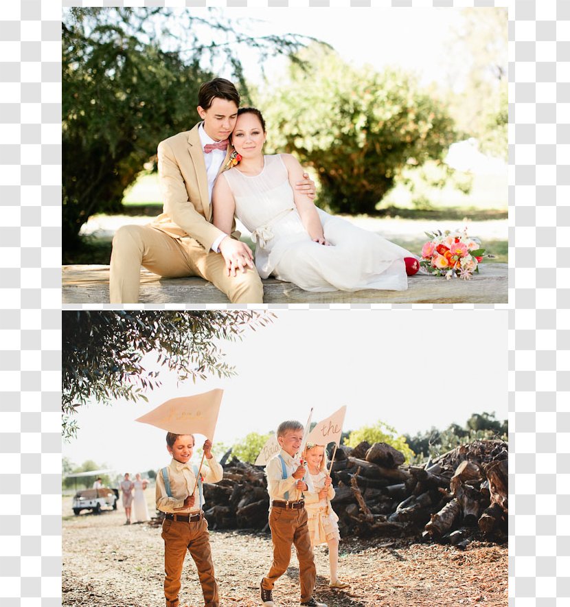 Wedding Hitz Family Vacation Hotel - People - Lawn Transparent PNG