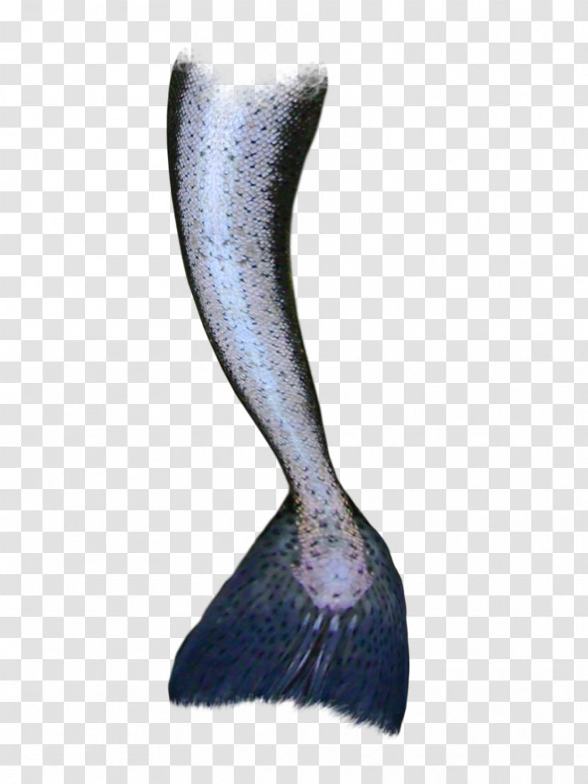 Mermaid Tail Siren - Idea Transparent PNG