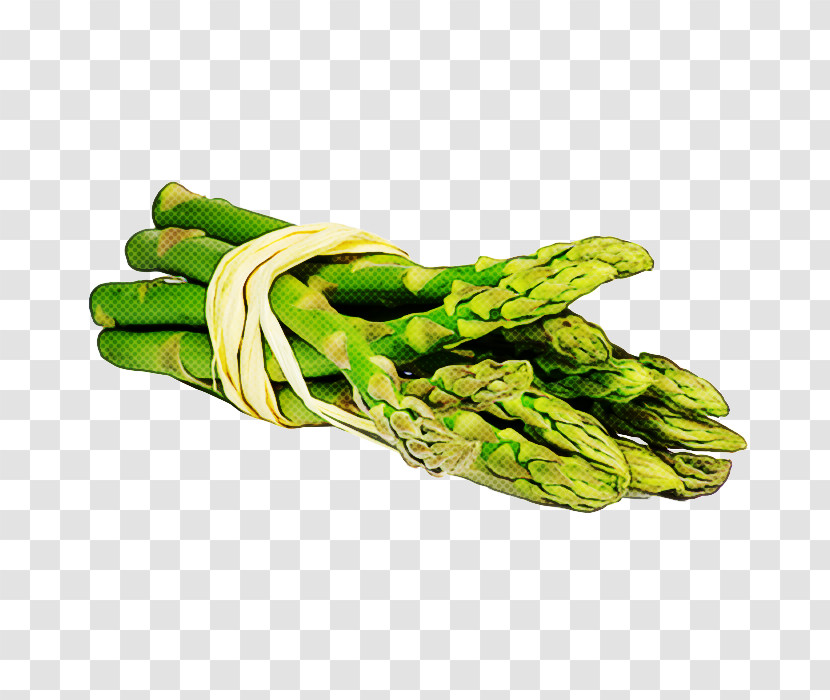 Green Asparagus Plant Hand Vegetable Transparent PNG