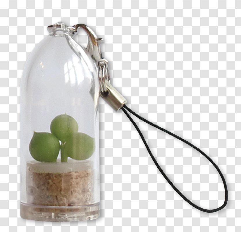 Key Chains Cactaceae Plant Keyring - Drinkware - Bubble And Beans Transparent PNG