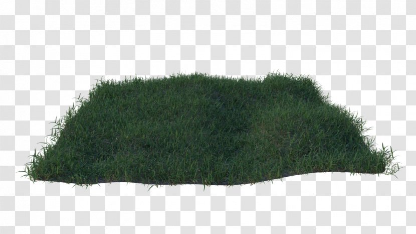 TinyPic Grasses Common Couch Lawn - Green - Lawngrass Transparent PNG