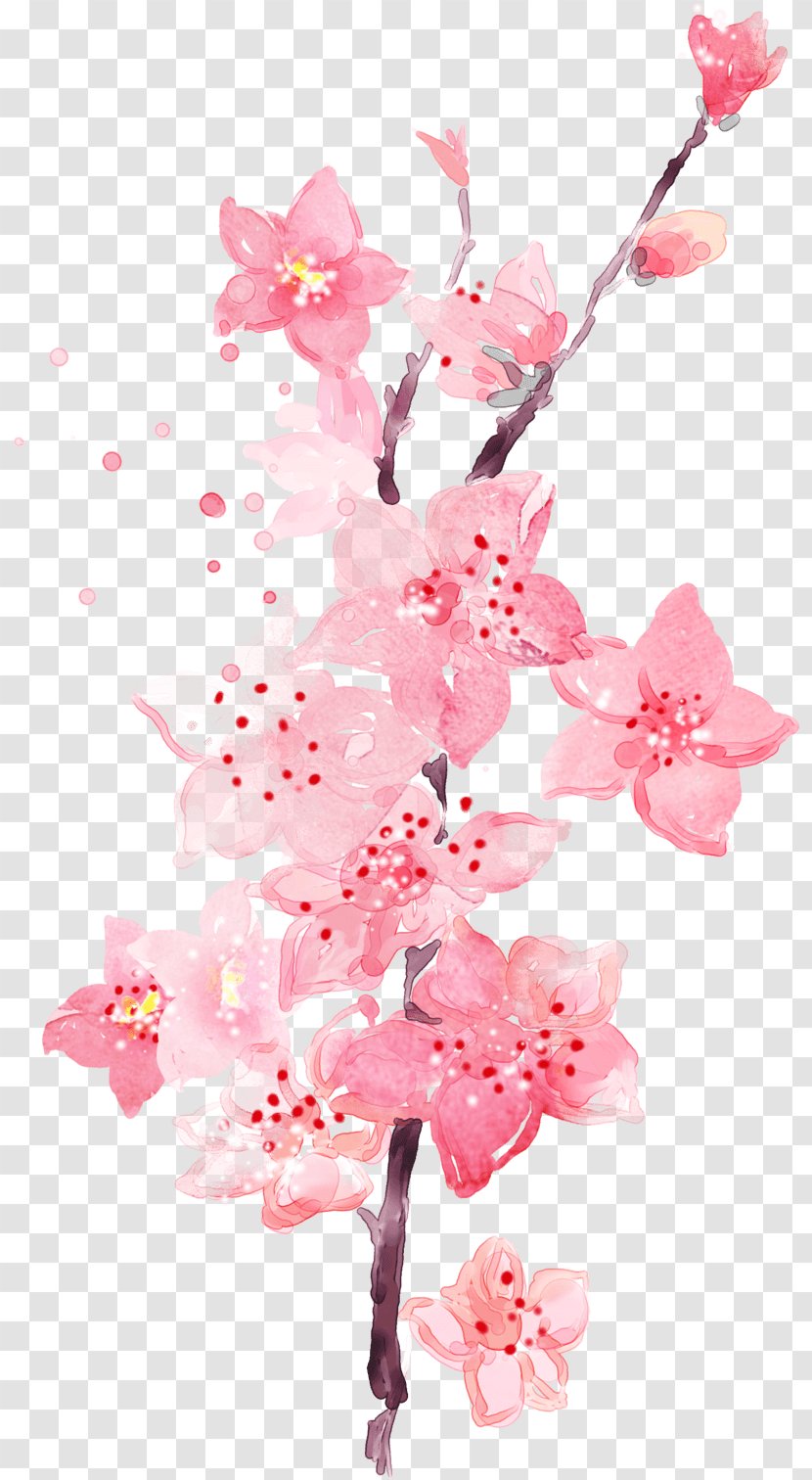 Pink Flowers Floral Design Desktop Wallpaper Clip Art - Plant - Minnow Transparent PNG