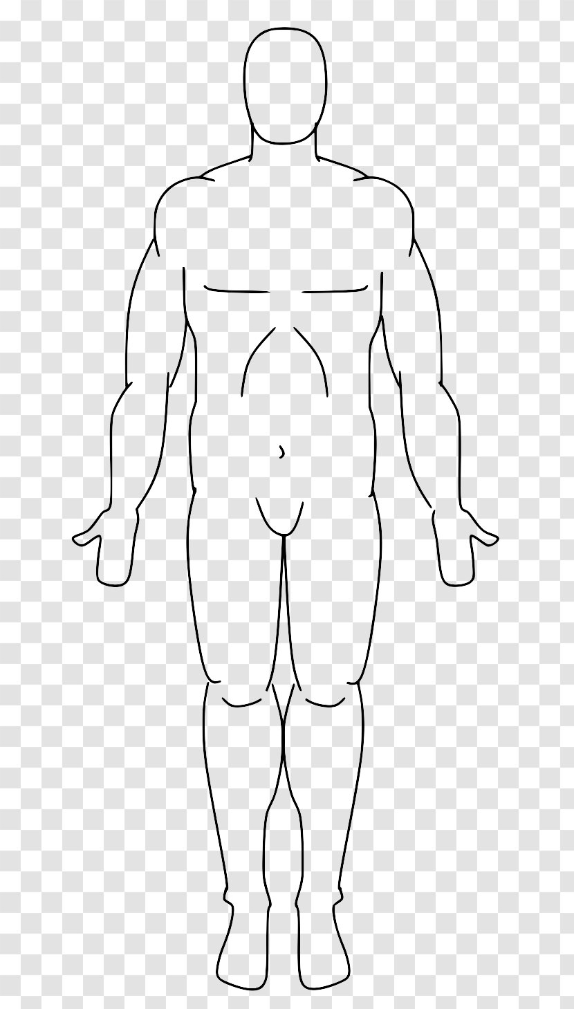Standard Anatomical Position Human Anatomy Body Homo Sapiens - Flower Transparent PNG