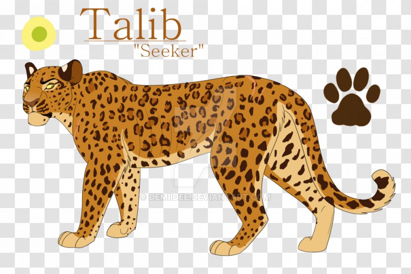 Cheetah Leopard Jaguar Nala Simba - Carnivoran Transparent PNG
