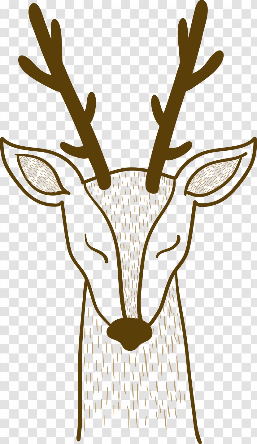 Pxe8re Davids Deer Sika - Artwork - Hand Painted Lines Vector Transparent PNG