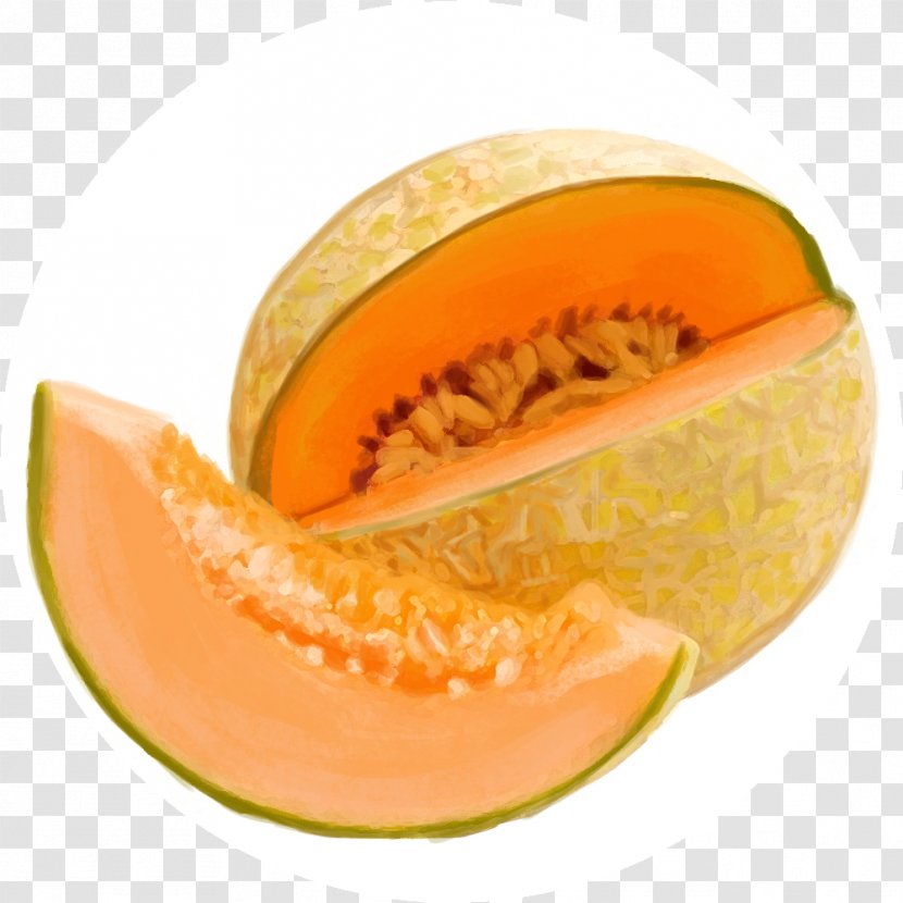 Fruit Food Tuscany Cantaloupe Agriculture - Melon Transparent PNG