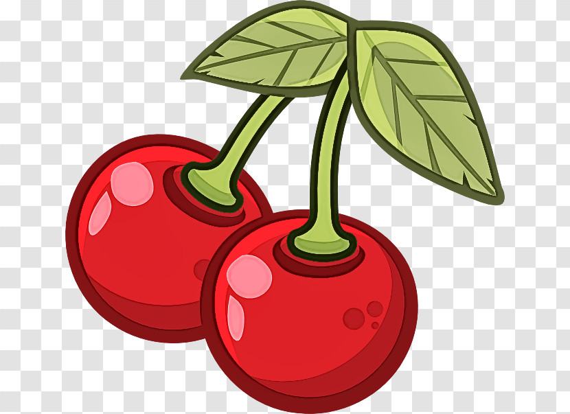 Red Leaf Cherry Tree Plant Transparent PNG