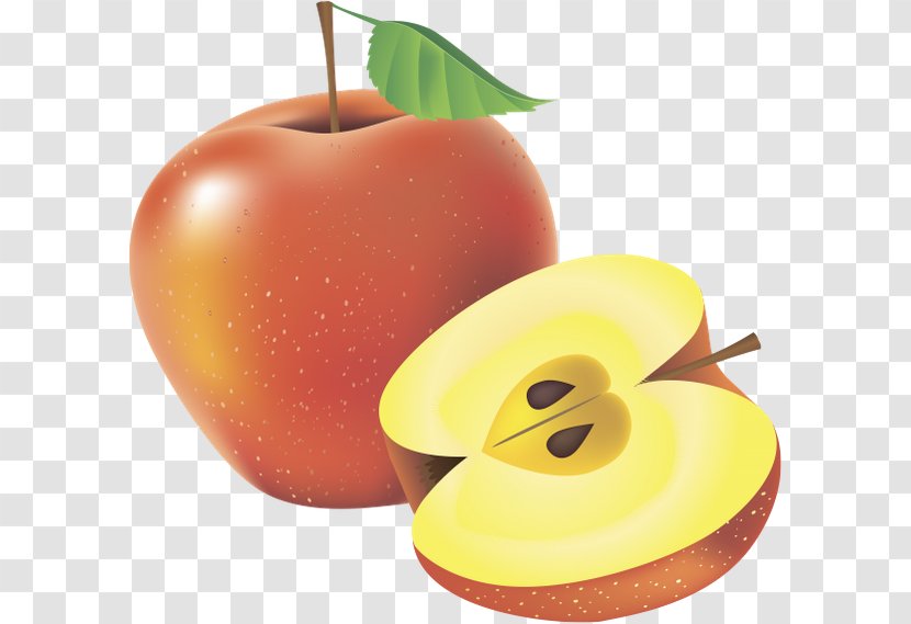 Food Auglis Apple - Drawing Transparent PNG