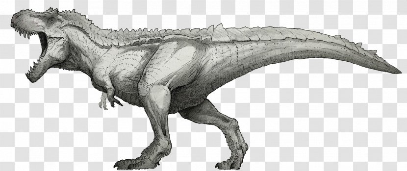 Tyrannosaurus Giganotosaurus Spinosaurus Triceratops Ceratosaurus - Jurassic Park Transparent PNG