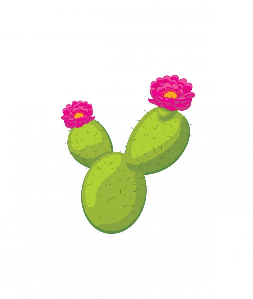 Cactaceae Flowering Plant Clip Art - Prickly Pear - Cactus Transparent PNG