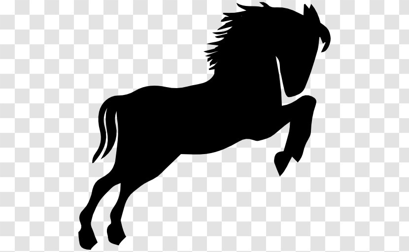 American Saddlebred Wild Horse Equestrian Show Jumping Racing - Livestock - Vector Transparent PNG