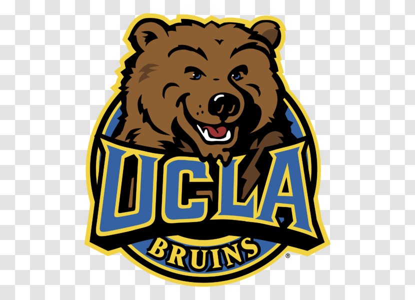 University Of California, Los Angeles UCLA Bruins Football Bear Logo Brand - California Transparent PNG