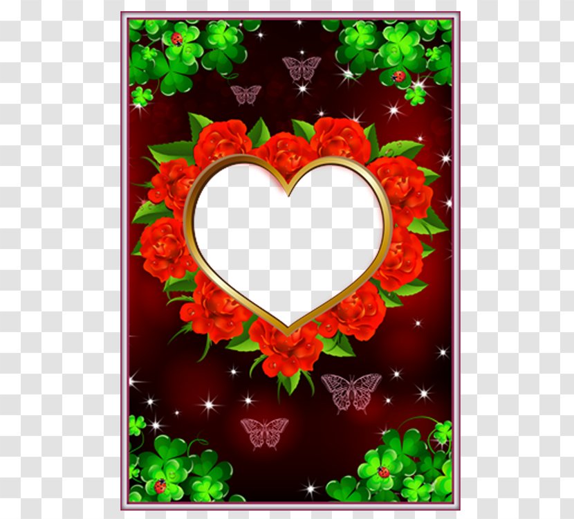 Love Photo Frames Picture Frame 54 Cards Digital - Flower - Rose Transparent PNG
