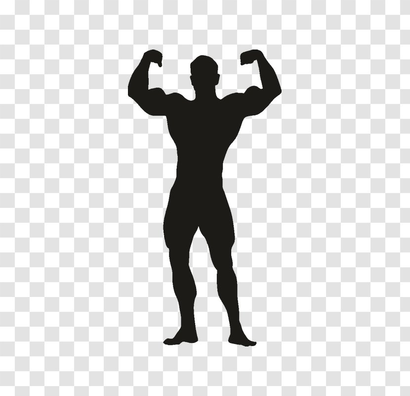 Female Bodybuilding National Physique Committee Clip Art - Silhouette Transparent PNG