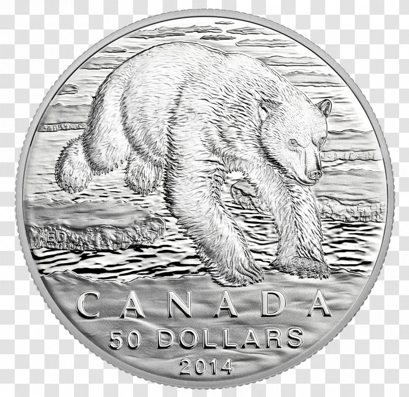 Canada Polar Bear Silver Coin Transparent PNG