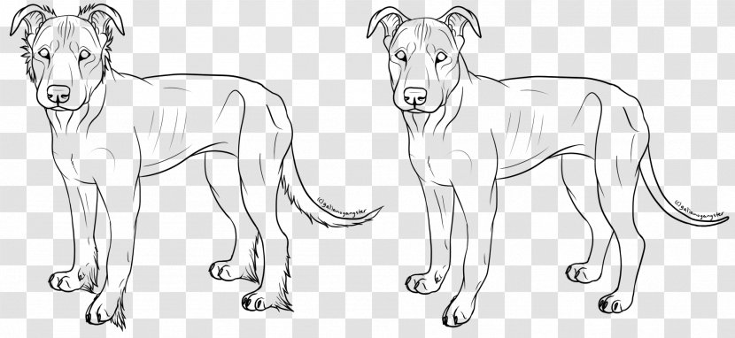Pit Bull Formosan Mountain Dog American Bulldog Dobermann - Lion - Pitbull Transparent PNG