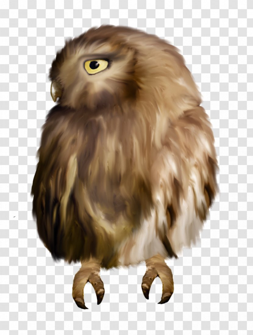 Owl Sovunya Watercolor Painting Clip Art Transparent PNG