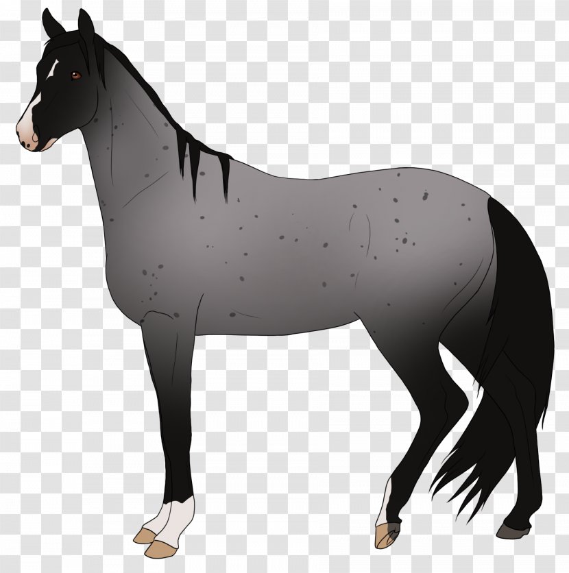 Mule Mustang Foal Mare Stallion - Livestock Transparent PNG