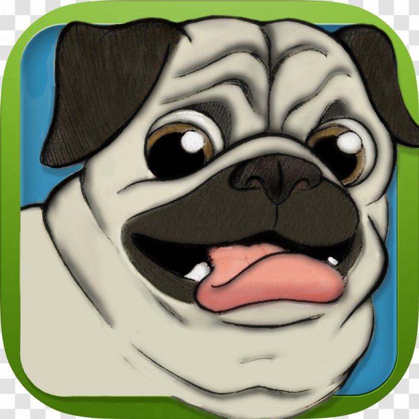 Pug Puppy Toy Dog Breed Canidae - Pet Transparent PNG