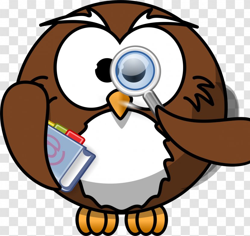 Owl Cartoon Clip Art - Owls Transparent PNG