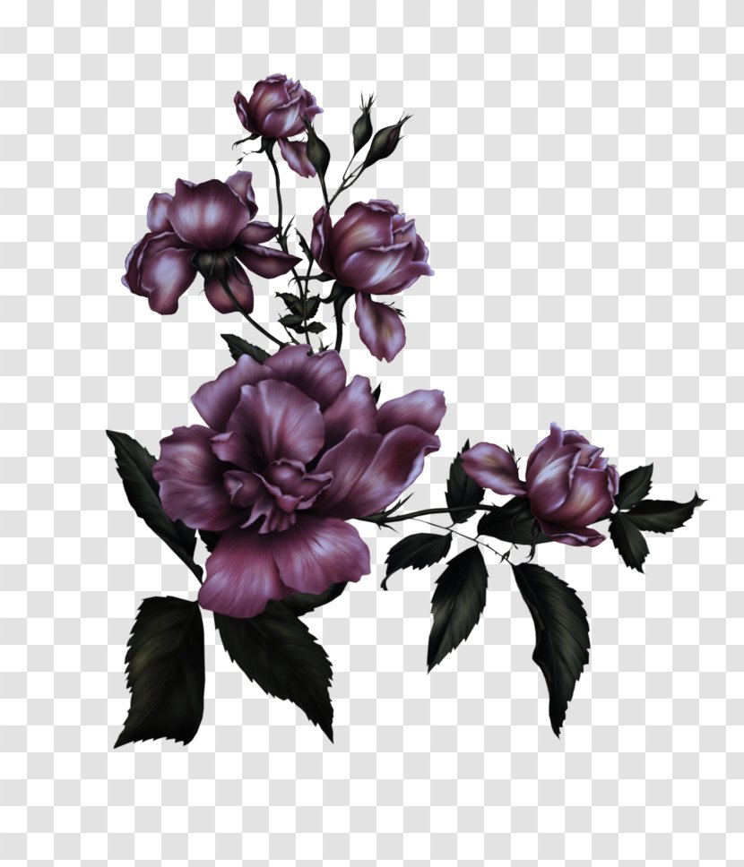 Flower Lilac Purple Violet Plant - Petal - Magnolia Transparent PNG