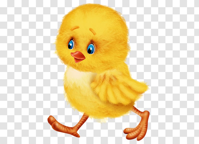 Easter Bunny Duck Chicken Kifaranga - Beak Transparent PNG