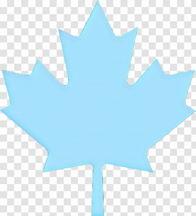 Canada Maple Leaf - Plant - Plane Transparent PNG