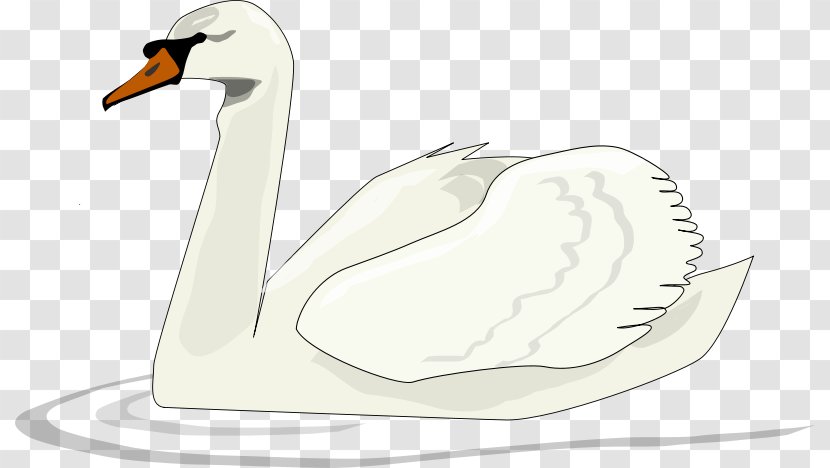 Black Swan Bird Clip Art - Wing - White Goose Transparent PNG