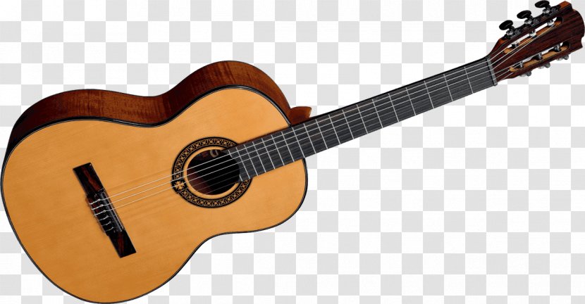 Takamine Guitars Acoustic Guitar Acoustic-electric Pro Series P3DC - Cartoon Transparent PNG