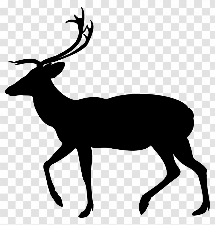 Clip Art White-tailed Deer Silhouette Moose - Gazelle - Terrestrial Animal Transparent PNG