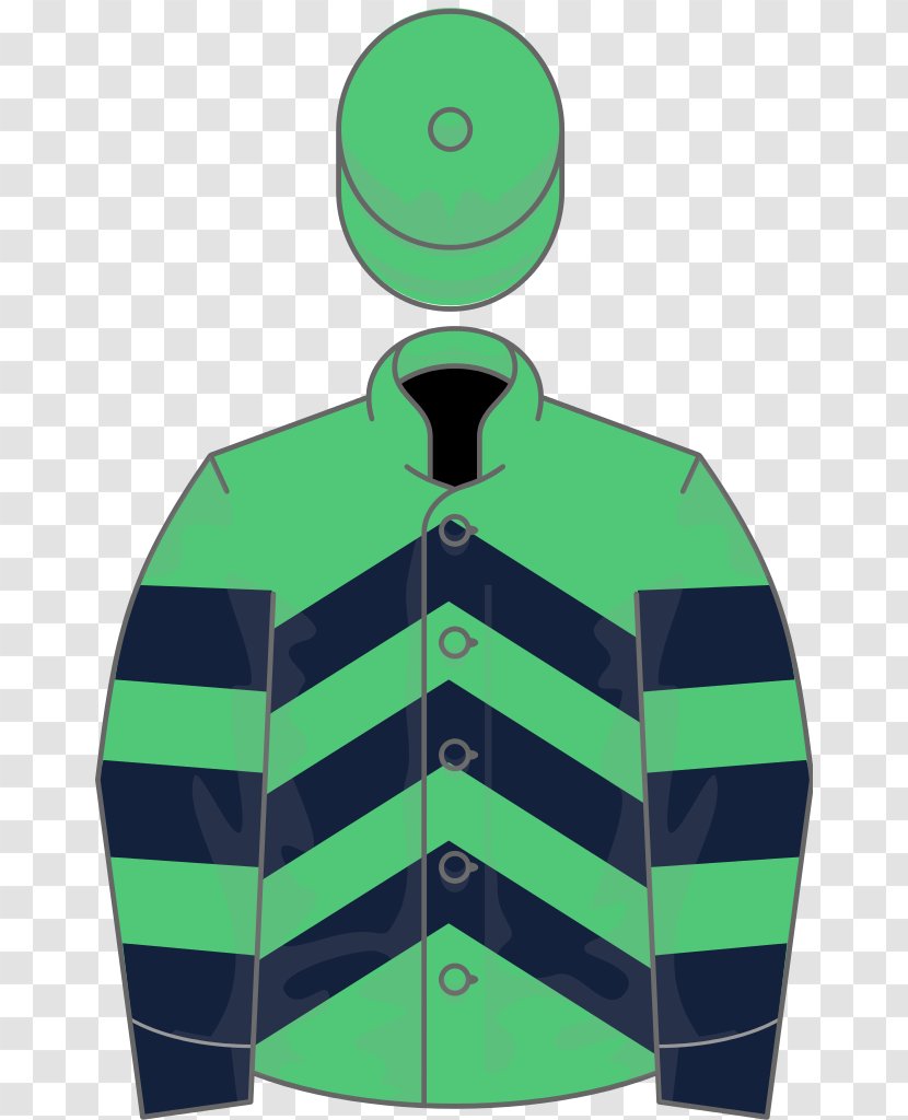 2006 Grand National Aintree Racecourse 1999 1964 Horse Racing - Just The Judge - Blueberry Transparent PNG