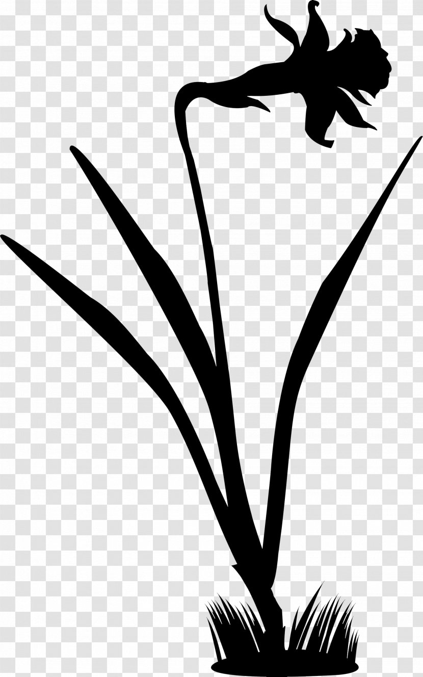 Clip Art Silhouette Line Flower Plant Stem Transparent PNG