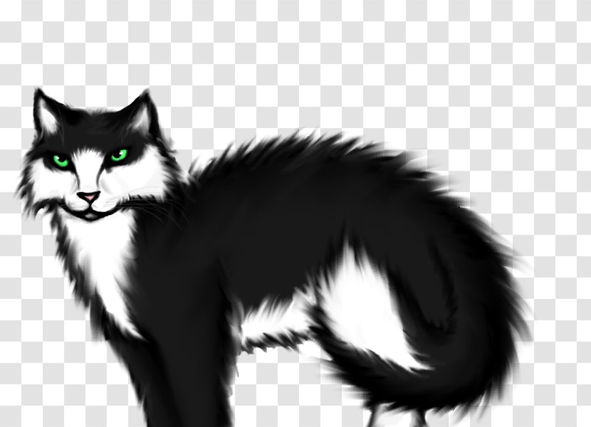 Whiskers Norwegian Forest Cat Kitten Domestic Short-haired Black - White Transparent PNG