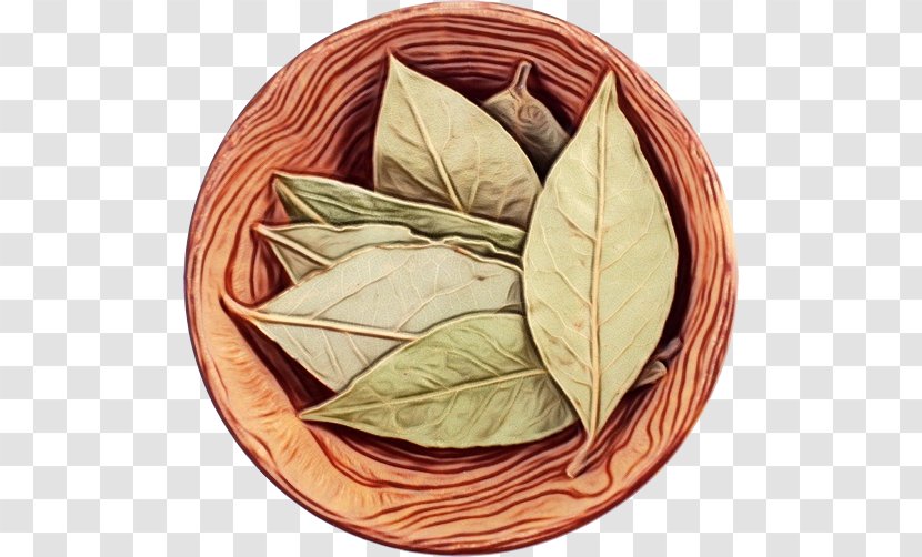 Tree Leaf - Herb Bay Transparent PNG