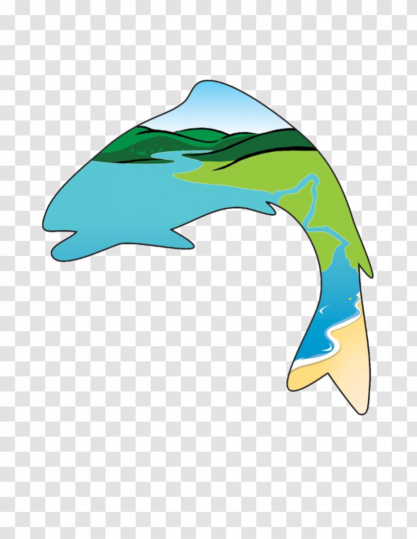 Common Bottlenose Dolphin Central Coast Salmon Enhancement LinkedIn Clip Art - Vertebrate Transparent PNG