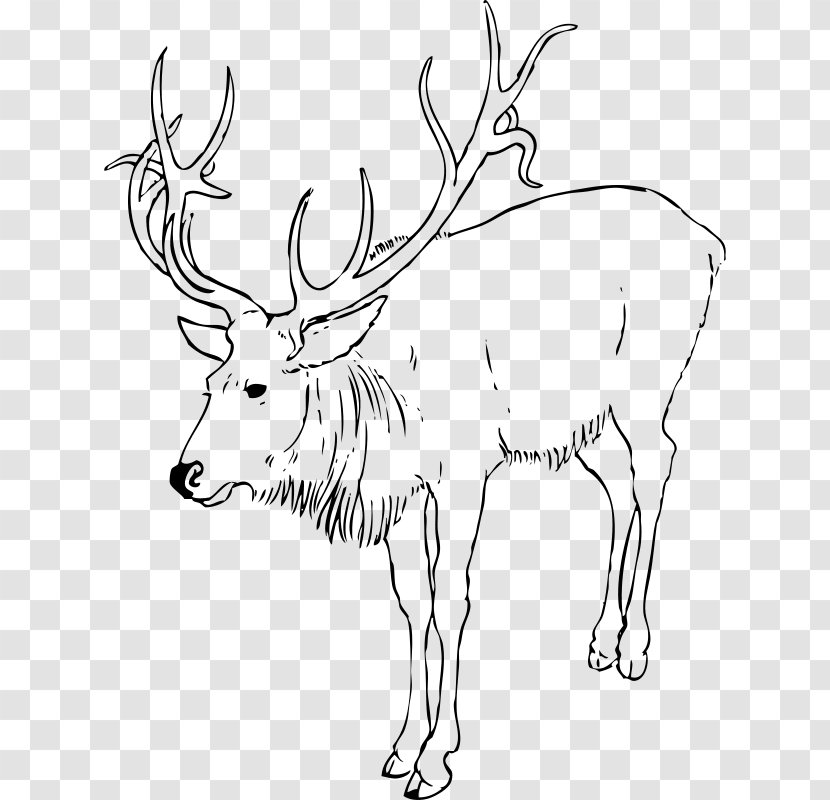 Reindeer Rudolph Drawing Clip Art - Coloring Book Transparent PNG