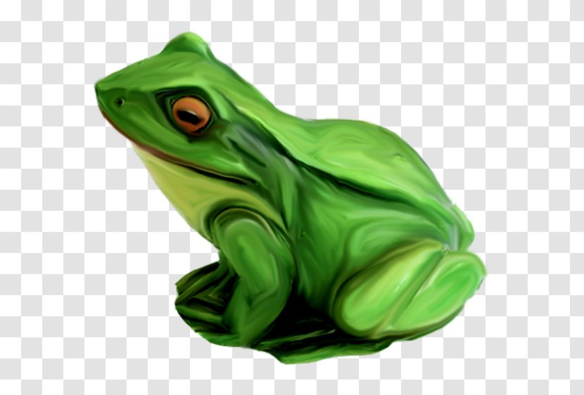 True Frog Tree Toad Green - Amphibian Transparent PNG