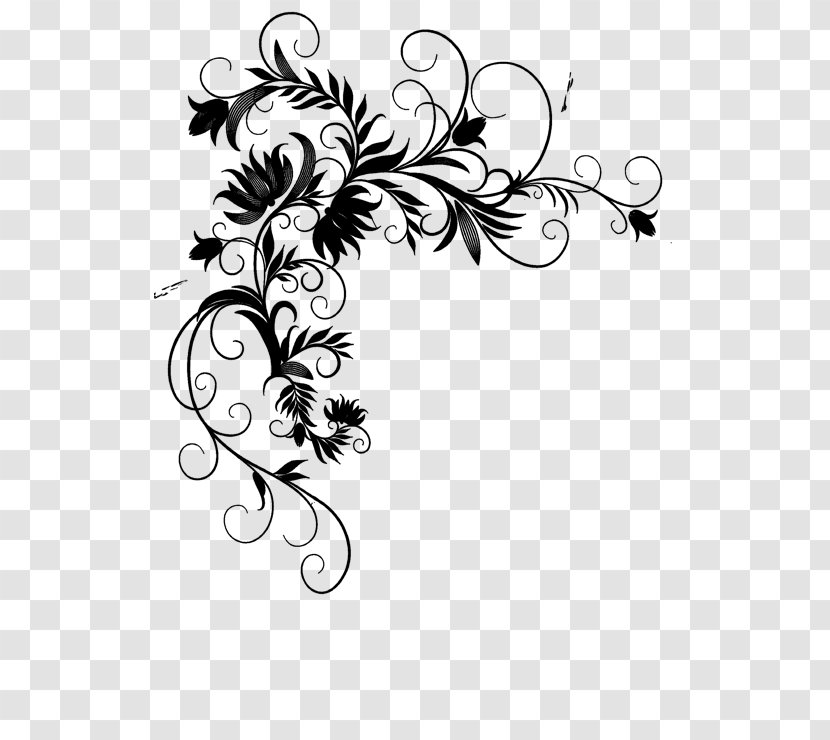 Floral Design Black & White - Leaf - M Graphic Line Art Transparent PNG