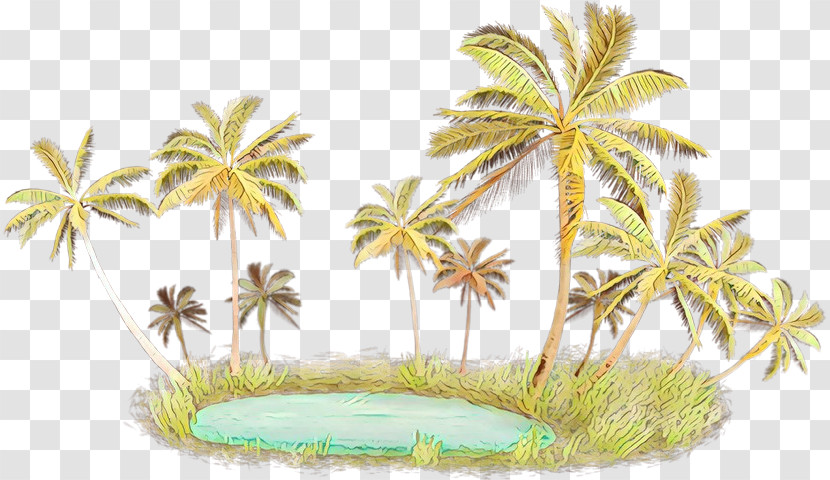 Palm Tree Transparent PNG