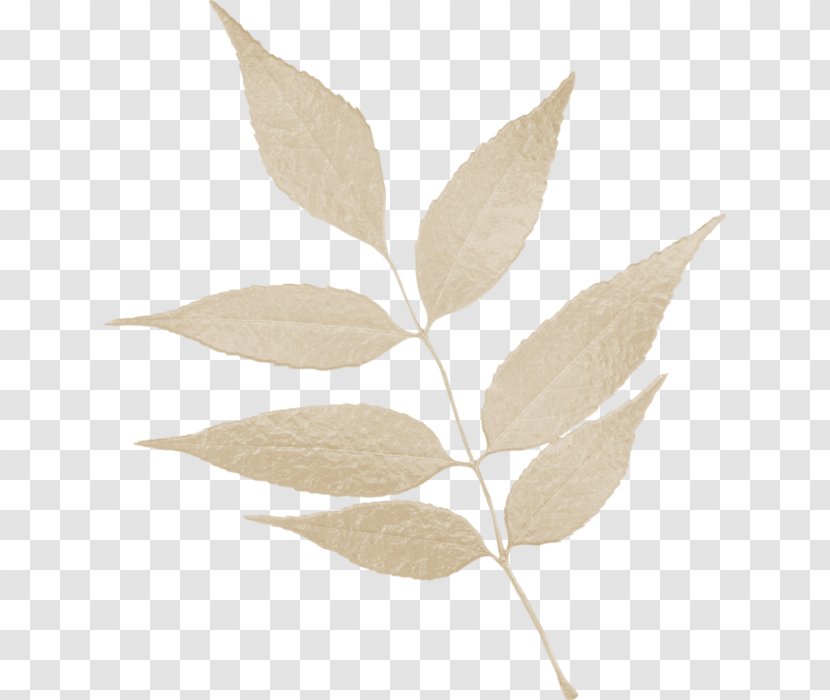 Leaf Home Page Clip Art Transparent PNG