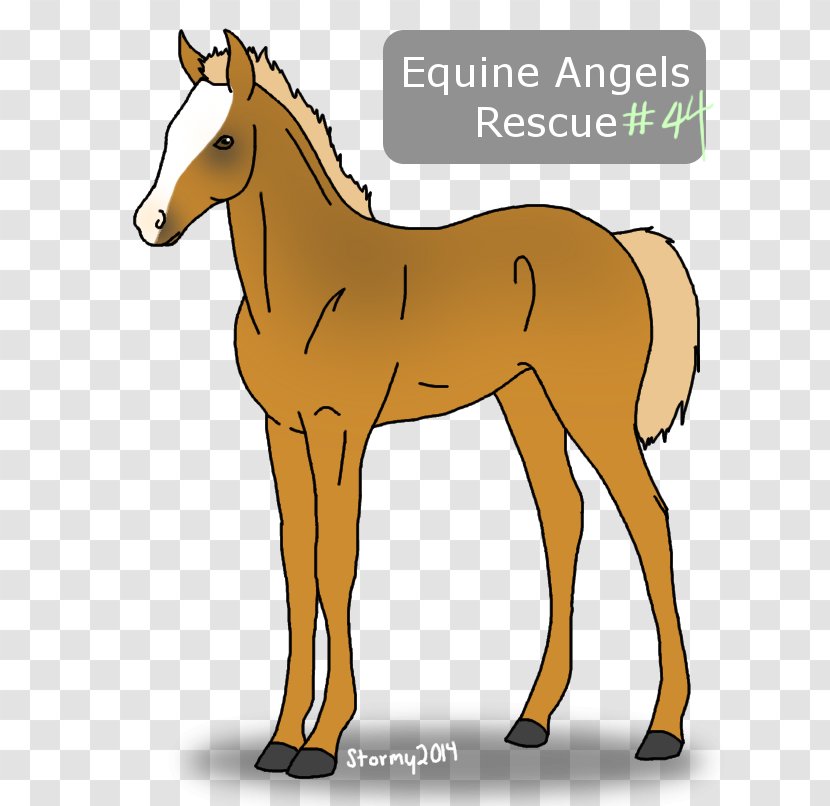 Mule Foal Mustang Mare Stallion - Horse Supplies - Respiratory Problems Horses Transparent PNG