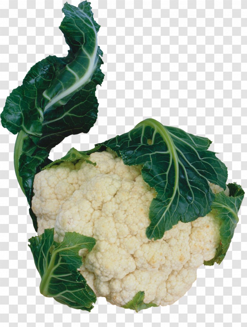 Cauliflower Vegetarian Cuisine Red Cabbage Vegetable Spring Greens - Vitamin C Transparent PNG