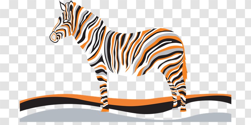 Tiger Orange Color Clip Art - Vertebrate - Bx Transparent PNG